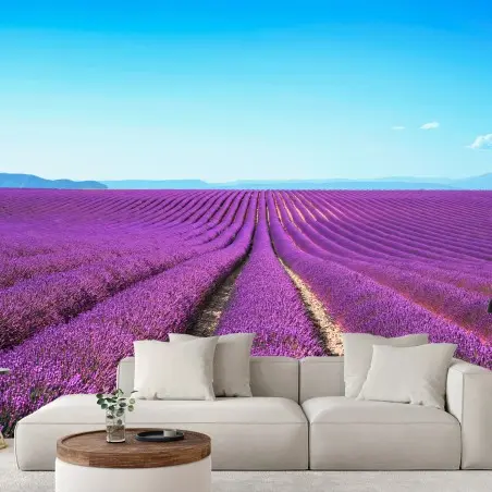 Papier peint LAVANDE VIOLET PAYSAGE CHAMPS CALME POUR LE SALON – Wallnifity®