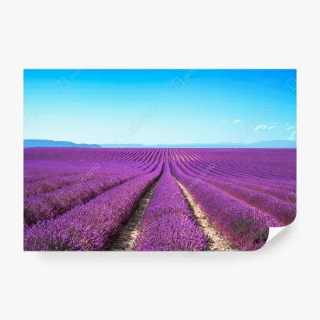 Papier peint LAVANDE VIOLET PAYSAGE CHAMPS CALME POUR LE SALON – Wallnifity®
