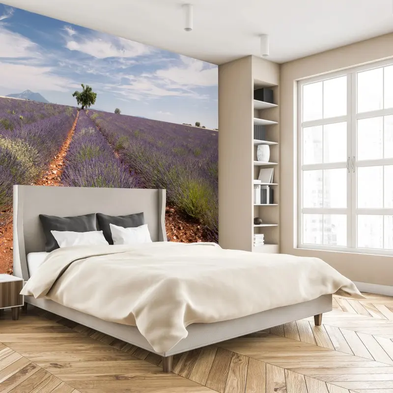 Chambre – Wallnifity®