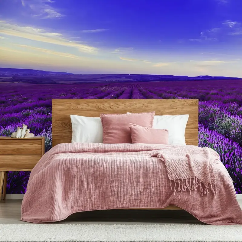 Chambre – Wallnifity®
