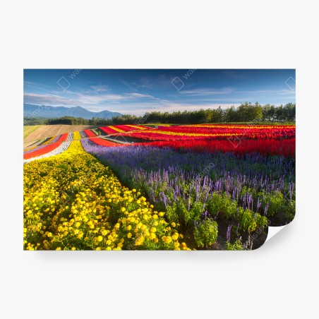 Papier peint FLEURS CHAMP COULEUR PAYSAGE NATURE POUR SALON – Wallnifity®