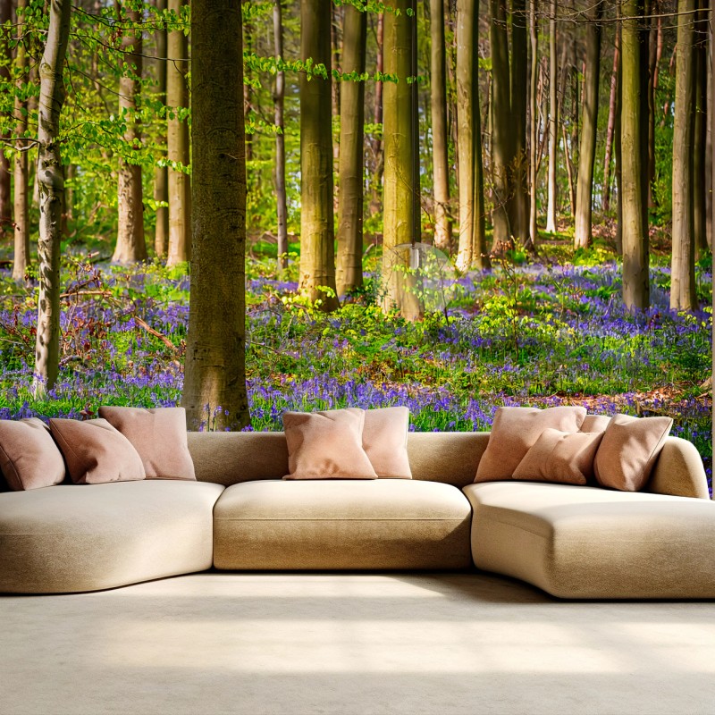 Salon – Wallnifity®