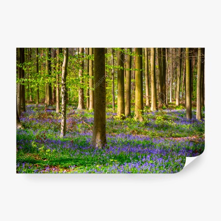 Papier peint BOIS JACINTHES PRINTEMPS NATURE ARBRES POUR SALON – Wallnifity®