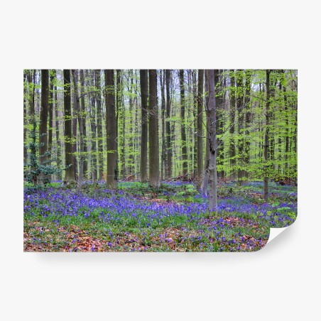 Papier peint FORET BLEU PRINTEMPS ARBRES NATURE POUR LE SALON – Wallnifity®