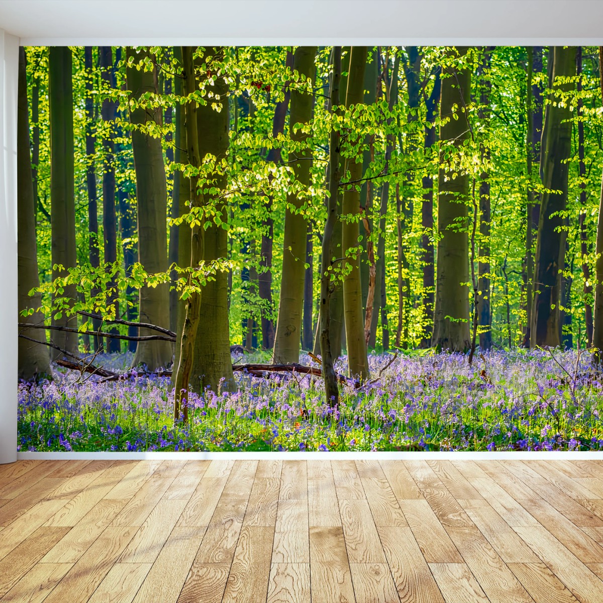 Papier peint FORÊT VERT ARBRES JACINTHES PRINTEMPS POUR SALON – Wallnifity®
