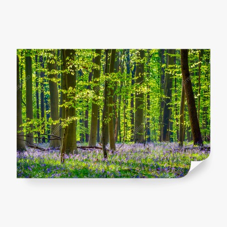 Papier peint FORÊT VERT ARBRES JACINTHES PRINTEMPS POUR SALON – Wallnifity®