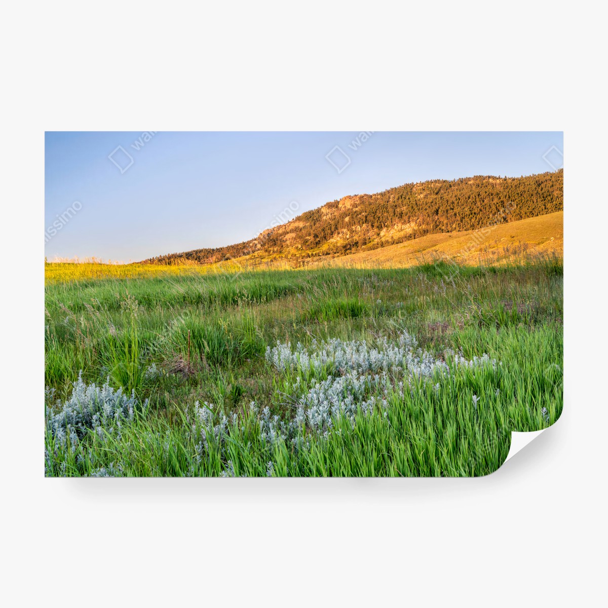 Papier peint MONTAGNES PRAIRIE HERBE SOIR LUMIÈRE POUR SALON – Wallnifity®