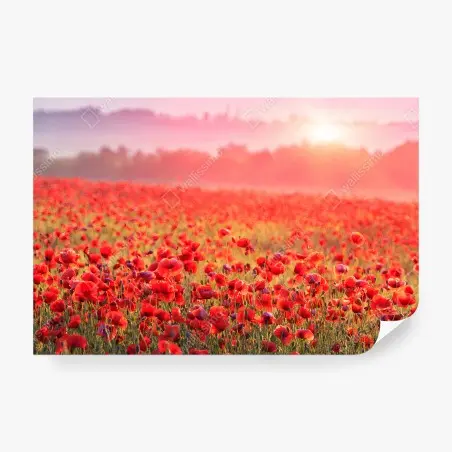 Papier peint COQUELICOT CHAMP PRAIRIE FLEURS AUBE POUR SALON – Wallnifity®