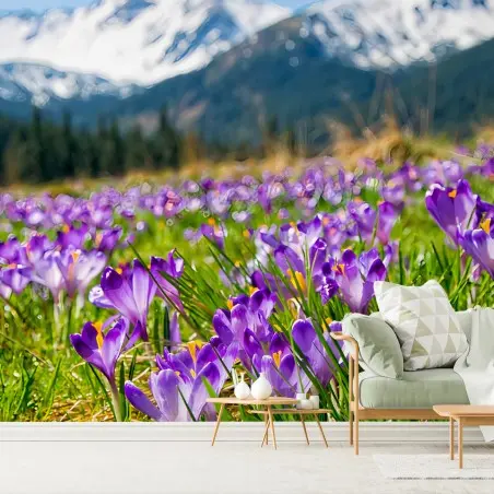 Papier peint CROCUS VIOLET PRAIRIE ALPES PRINTEMPS POUR LE SALON – Wallnifity®