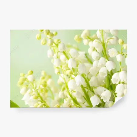 Papier peint MUGUET BLANC FLEURS NATURE DELICAT POUR LA CHAMBRE – Wallnifity®