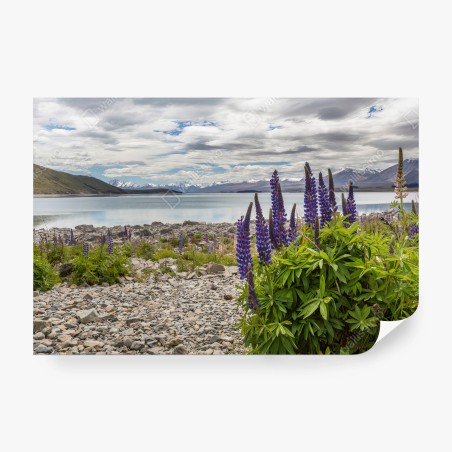 Papier peint LAC MONTAGNES LUPIN NATURE PAYSAGE POUR SALON – Wallnifity®