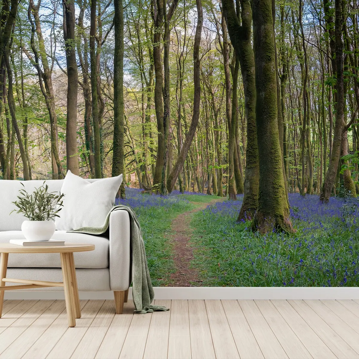 Papier peint FORÊT JACINTHE NATURE PRINTEMPS SENTIER POUR SALON – Wallnifity®