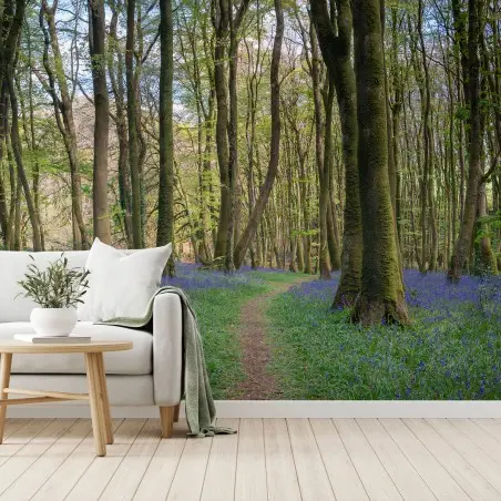 Papier peint FORÊT JACINTHE NATURE PRINTEMPS SENTIER POUR SALON – Wallnifity®
