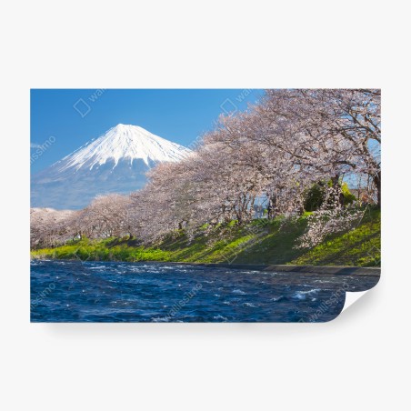 Papier peint FUJI SAKURA JAPON MONTAGNE PRINTEMPS POUR SALON – Wallnifity®