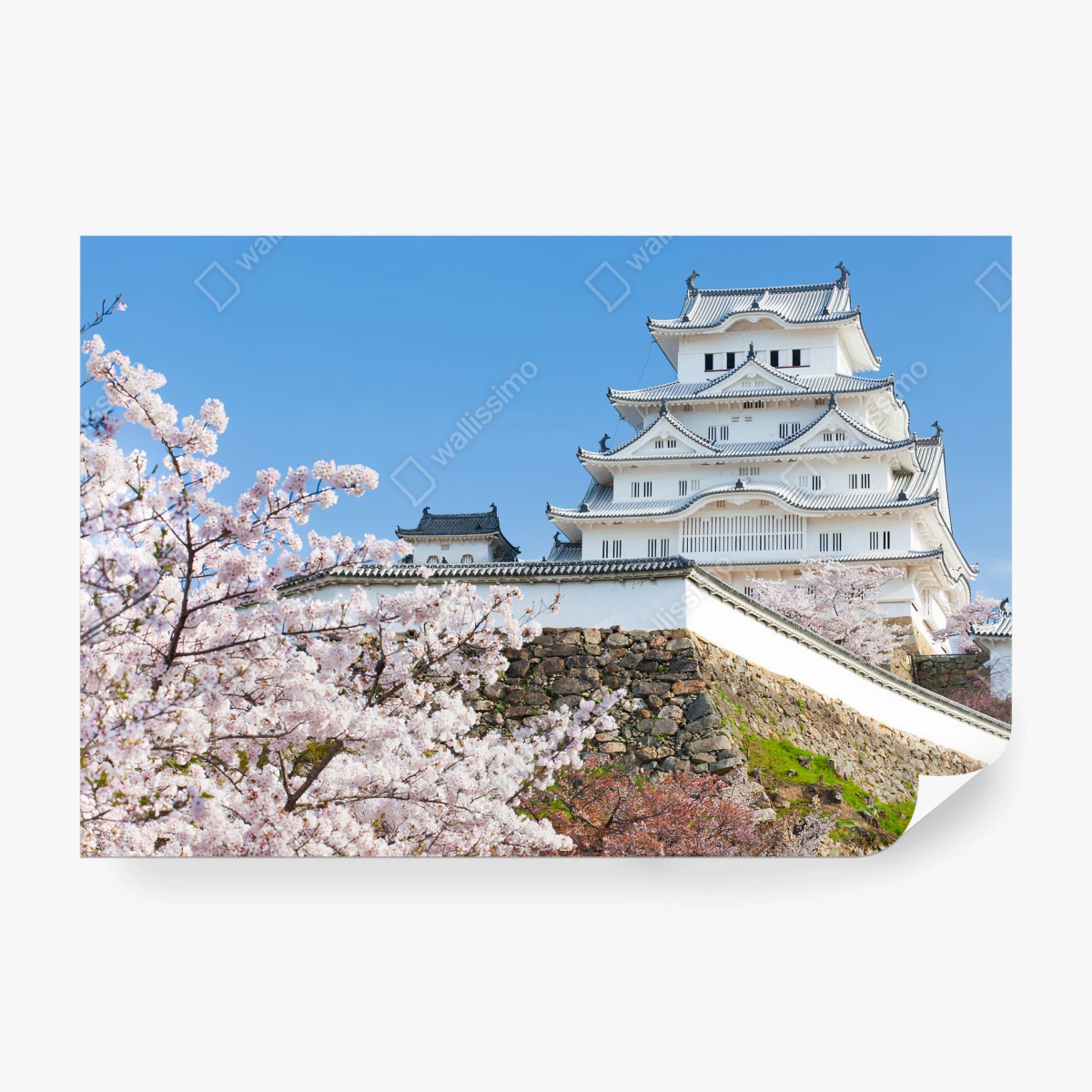Papier peint JAPON HIMEJI CHATEAU SAKURA CERISIER POUR SALON – Wallnifity®