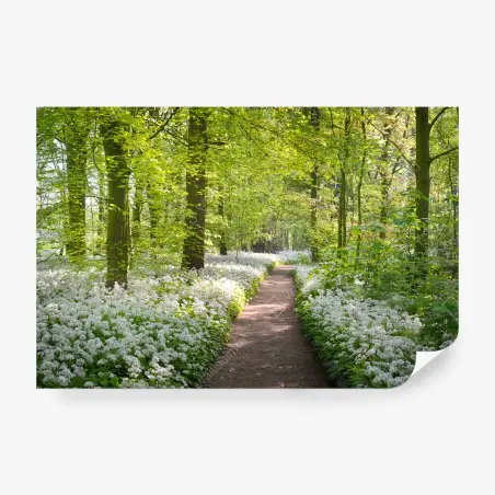 Papier peint BOIS SENTIER PRINTEMPS FLEURS NATURE POUR LE SALON – Wallnifity®