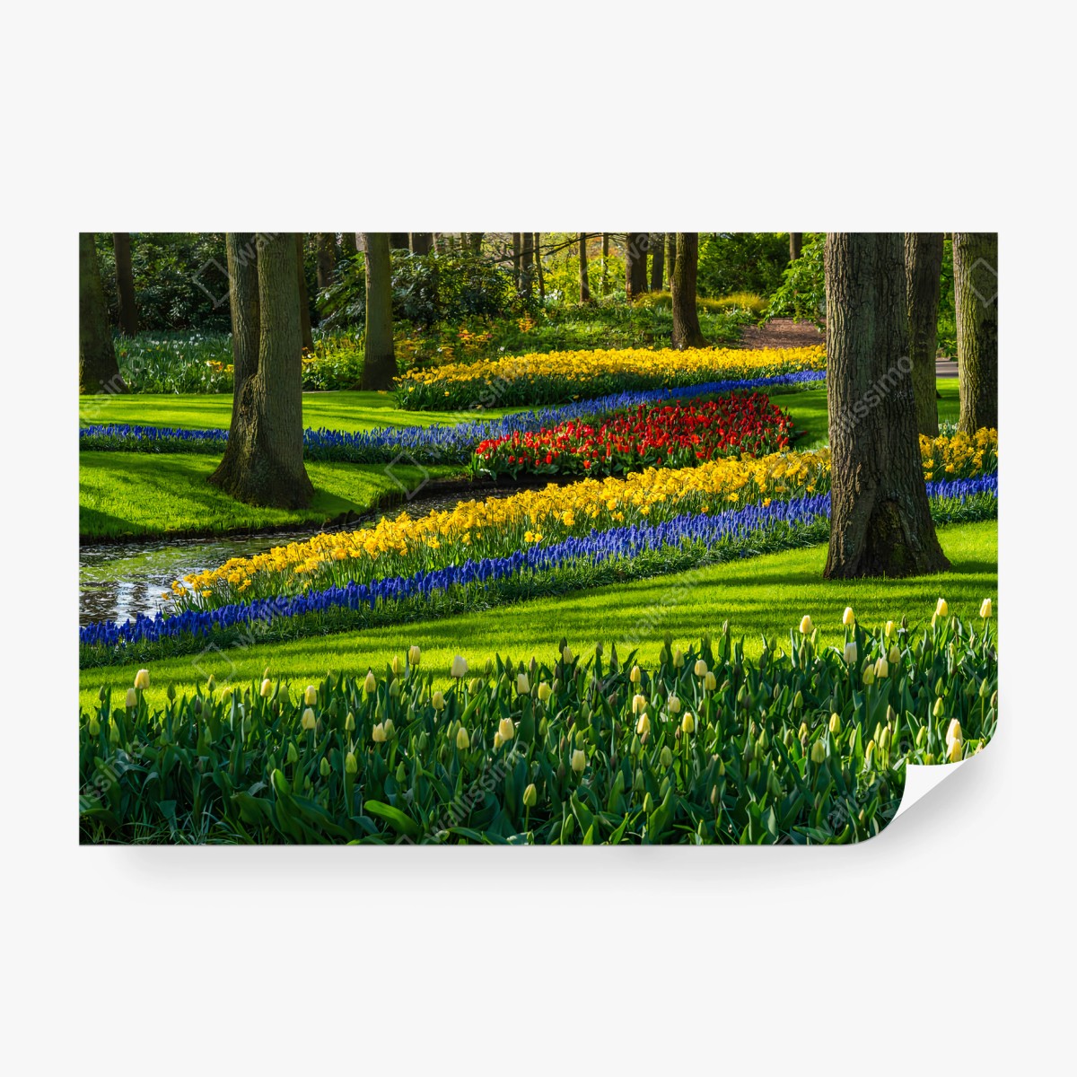 Papier peint PRINTEMPS FLEURS TULIPES JARDIN VERT POUR SALON – Wallnifity®