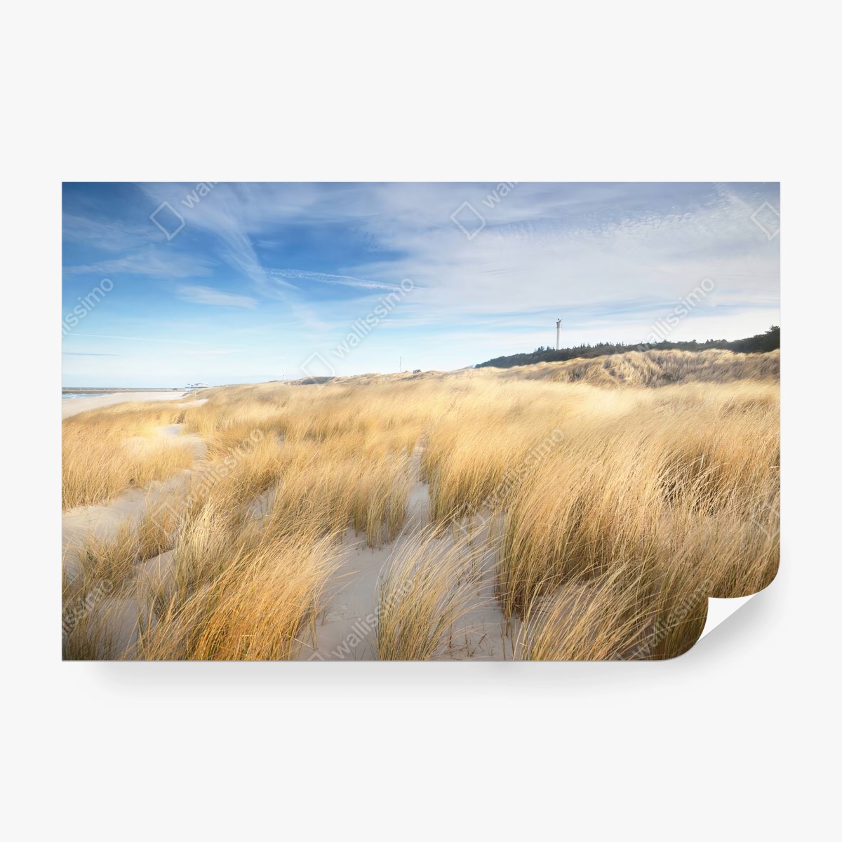 Papier peint PLAGE DUNES SABLE HERBE CÔTIÈRE POUR SALON – Wallnifity®