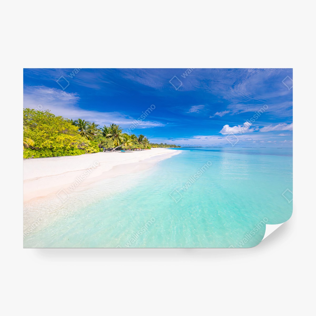 Papier peint PLAGE OCEAN TURQUOISE PALMIERS PARADIS POUR SALON – Wallnifity®