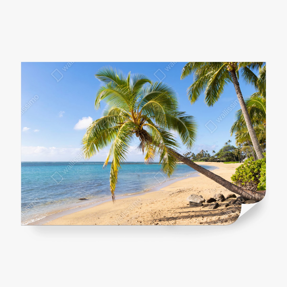 Papier peint PLAGE PALMIER TROPICAL OCEAN SABLE POUR SALON – Wallnifity®