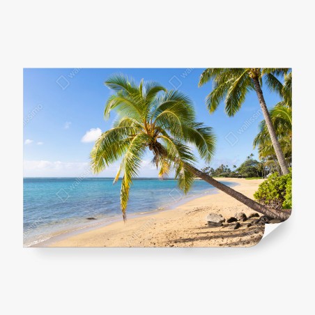 Papier peint PLAGE PALMIER TROPICAL OCEAN SABLE POUR SALON – Wallnifity®
