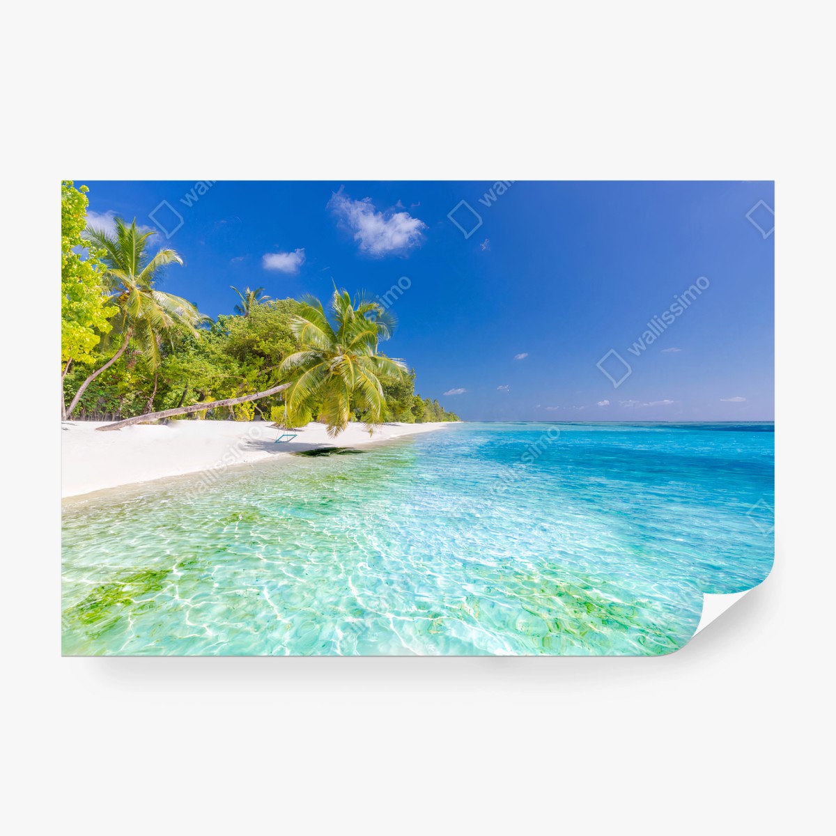 Papier peint PLAGE MER PALMIERS TURQUOISE TROPICAL POUR SALON – Wallnifity®