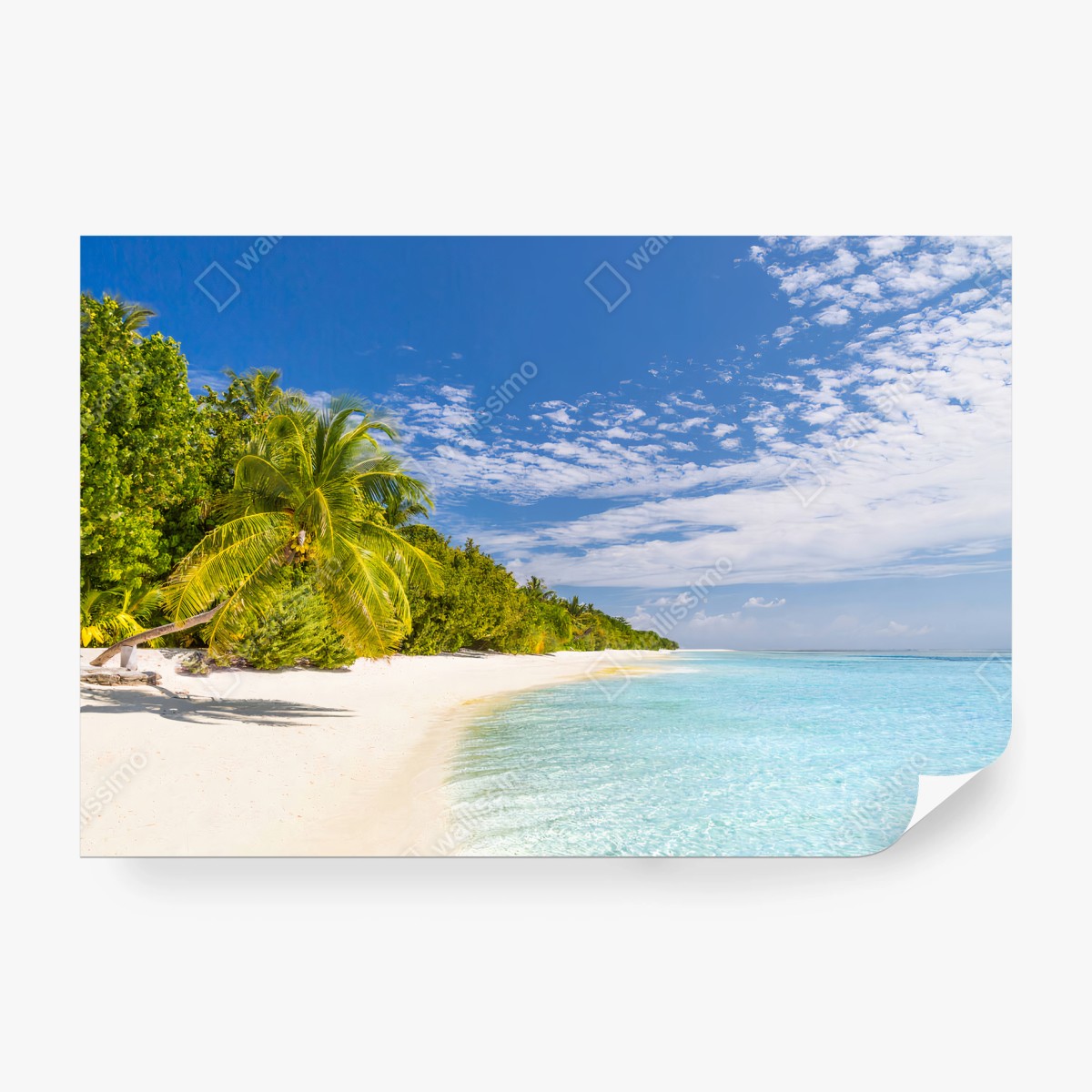 Papier peint PLAGE TROPICAL PALMIERS OCEAN PARADIS POUR SALON – Wallnifity®