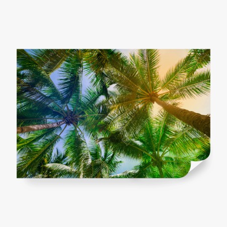Papier peint PALMIER TROPICAL PLAGE ÉTÉ CIEL POUR LE SALON – Wallnifity®