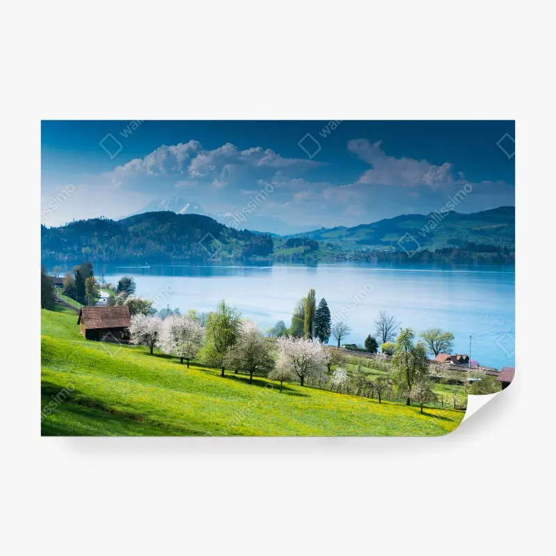 Nature – Wallnifity®