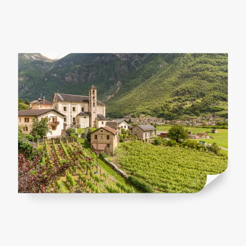 Nature – Wallnifity®