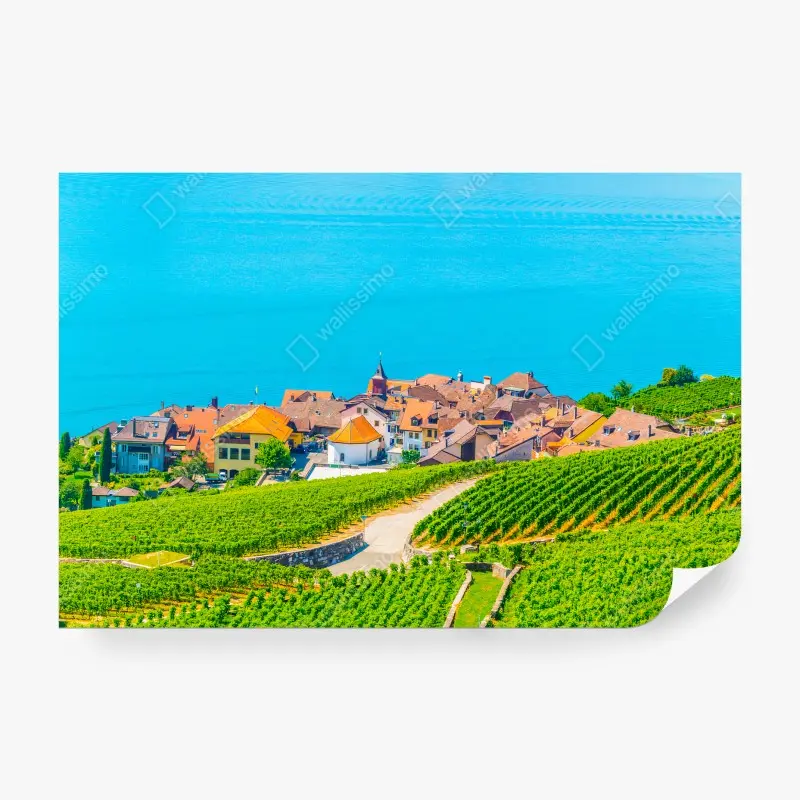 Nature – Wallnifity®