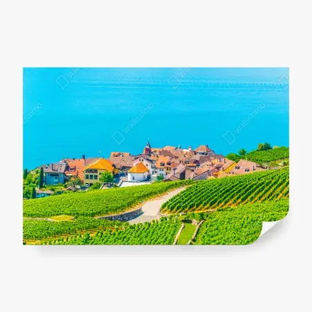 Papier peint VIGNOBLE LAC VILLAGE PAYSAGE VERT POUR SALON – Wallnifity®