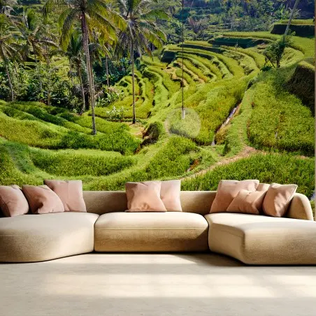 Papier peint BALI RIZIERES TERRASSES TEGALLALANG VERT POUR SALON – Wallnifity®