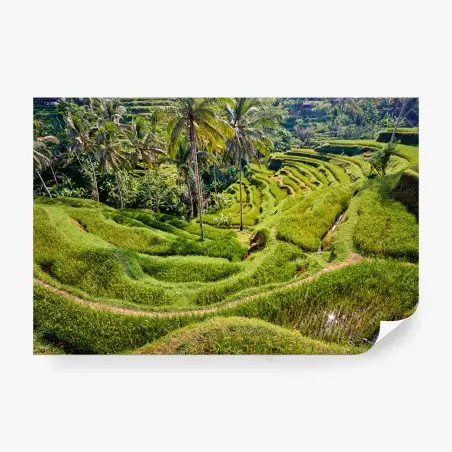 Papier peint BALI RIZIERES TERRASSES TEGALLALANG VERT POUR SALON – Wallnifity®