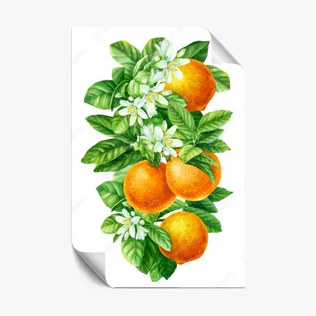 Poster branches d'oranger en aquarelle – Wallnifity®