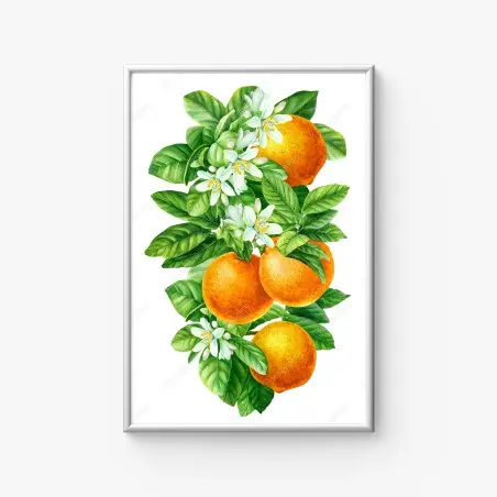 Poster branches d'oranger en aquarelle – Wallnifity®