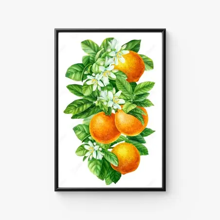 Poster branches d'oranger en aquarelle – Wallnifity®