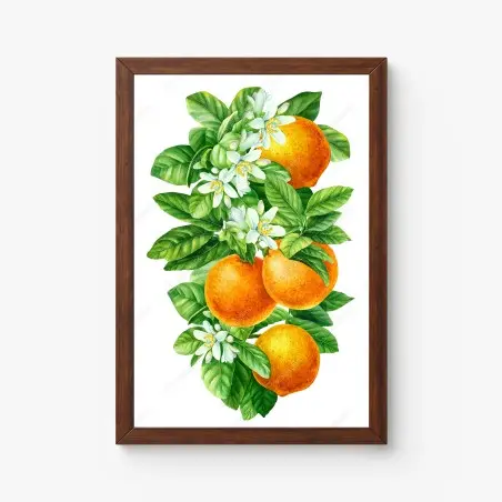 Poster branches d'oranger en aquarelle – Wallnifity®
