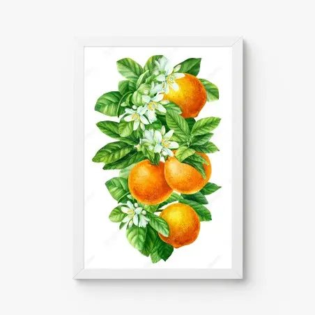 Poster branches d'oranger en aquarelle – Wallnifity®