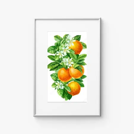 Poster branches d'oranger en aquarelle – Wallnifity®