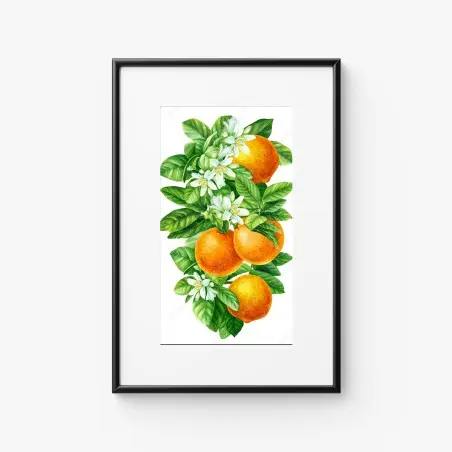 Poster branches d'oranger en aquarelle – Wallnifity®