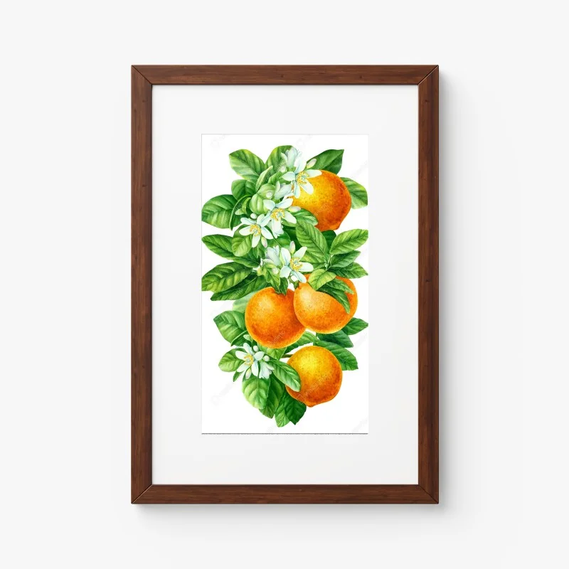 Poster branches d'oranger en aquarelle – Wallnifity® Poster branches d'oranger en aquarelle – Wallnifity®