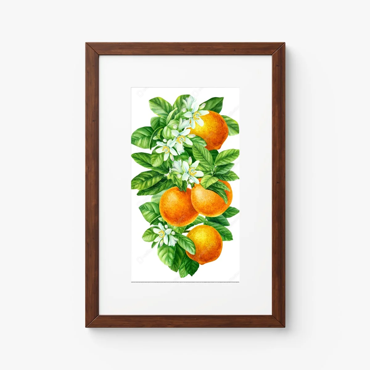Poster branches d'oranger en aquarelle – Wallnifity® Poster branches d'oranger en aquarelle – Wallnifity®