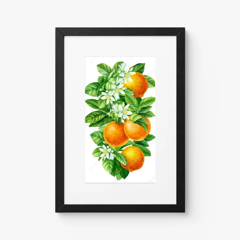 Poster branches d'oranger en aquarelle – Wallnifity® Poster branches d'oranger en aquarelle – Wallnifity®