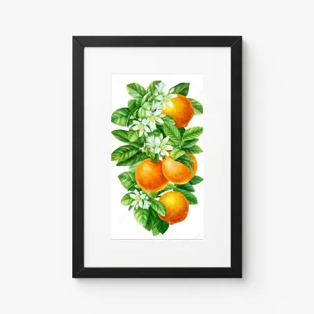 Poster branches d'oranger en aquarelle – Wallnifity®