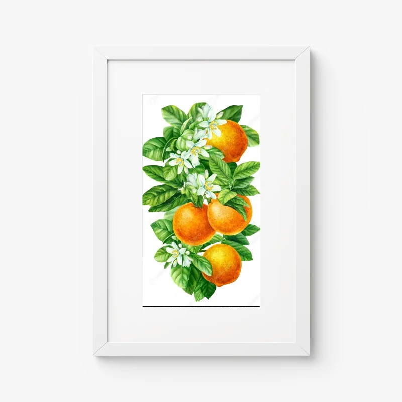 Poster branches d'oranger en aquarelle – Wallnifity® Poster branches d'oranger en aquarelle – Wallnifity®
