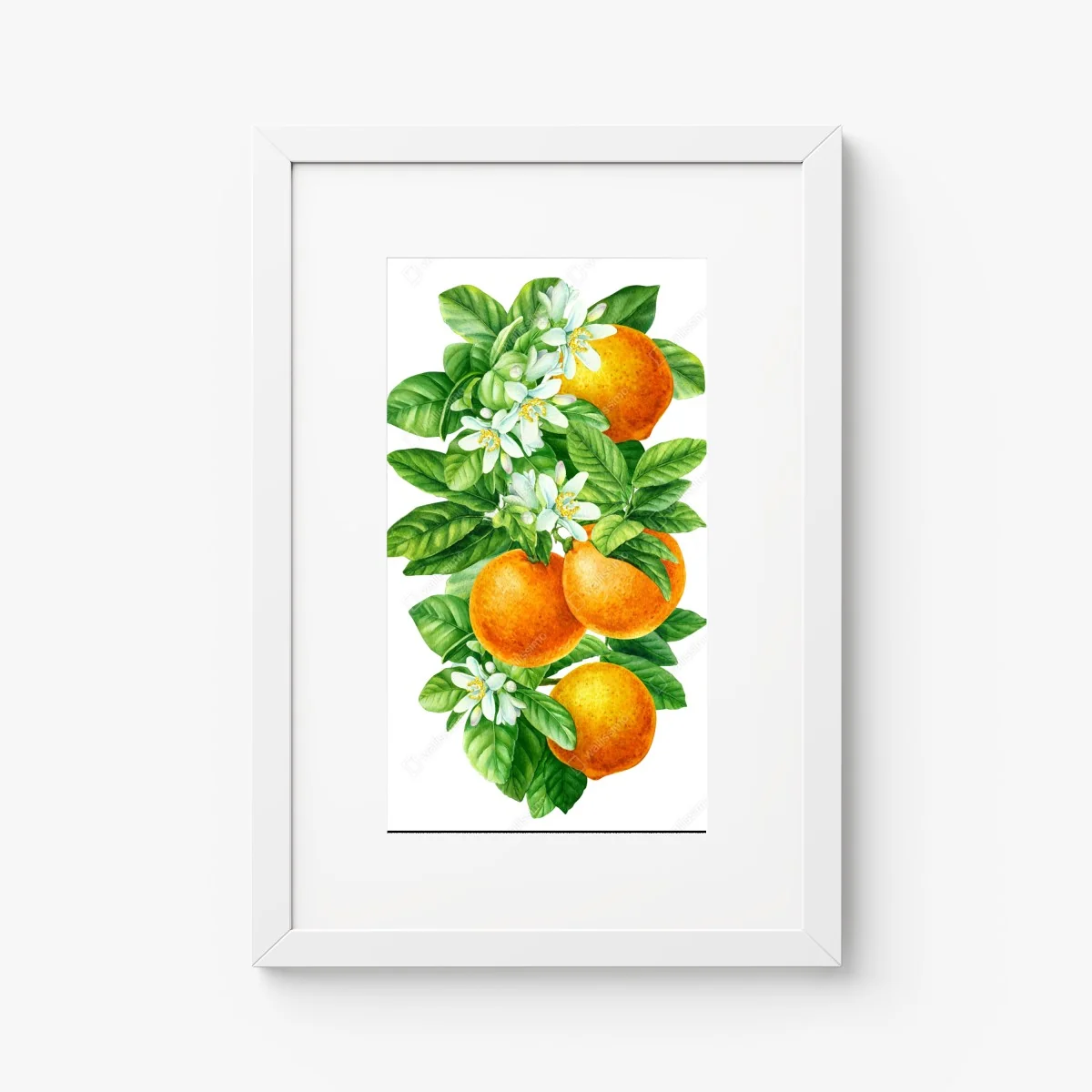 Poster branches d'oranger en aquarelle – Wallnifity® Poster branches d'oranger en aquarelle – Wallnifity®