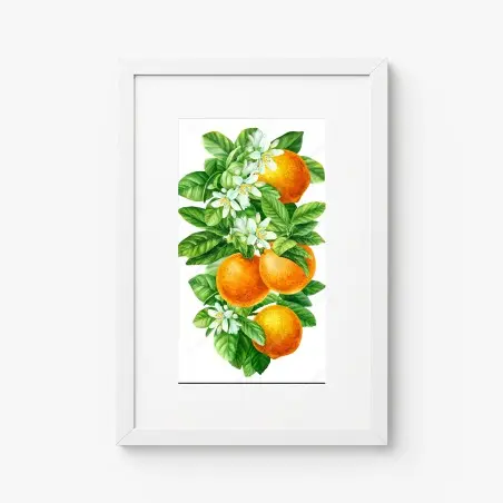 Poster branches d'oranger en aquarelle – Wallnifity®
