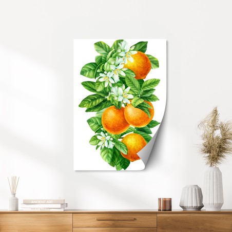 Poster branches d'oranger en aquarelle – Wallnifity®