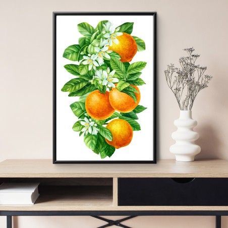 Poster branches d'oranger en aquarelle – Wallnifity®